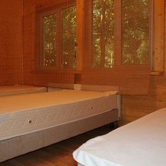 База отдыха Лесной дом, Истра, Московская область