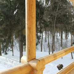 База отдыха Лесной дом, Истра, Московская область