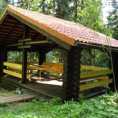 База отдыха Лесной дом, Истра, Московская область