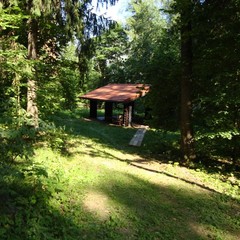 База отдыха Лесной дом, Истра, Московская область