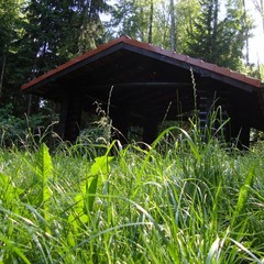 База отдыха Лесной дом, Истра, Московская область