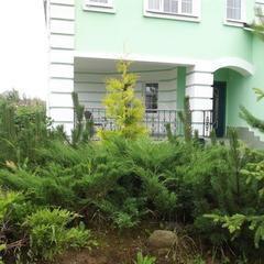 Гостевой дом Андреевское, Истра, Московская область