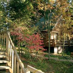 Отель Лада Холидей, Истра, Московская область