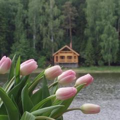 Отель Лада Холидей, Истра, Московская область