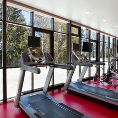 Отель Hilton Garden Inn Moscow New Riga, Истра, Московская область