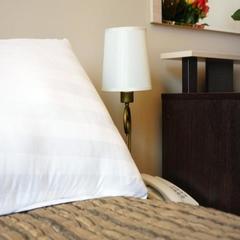 Мотель Мотель ДжанГо, Истра, Московская область