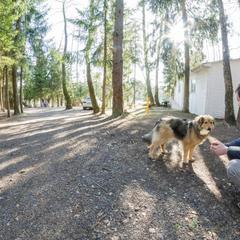 База отдыха Истралайф, Истра, Московская область