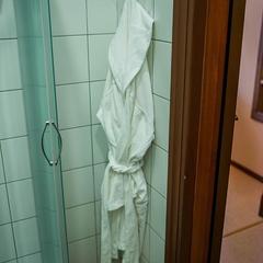 Гостиница Восточная, Истра, Московская область