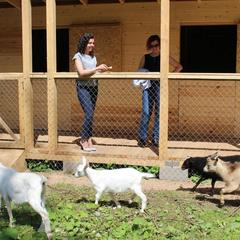 Отель Hilton Garden Inn Moscow New Riga, Истра, Московская область