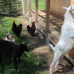 Отель Hilton Garden Inn Moscow New Riga, Истра, Московская область