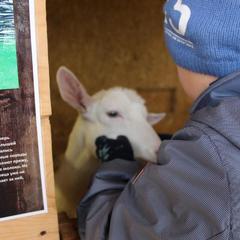 Отель Hilton Garden Inn Moscow New Riga, Истра, Московская область