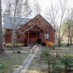 База отдыха Истралайф, Истра, Московская область