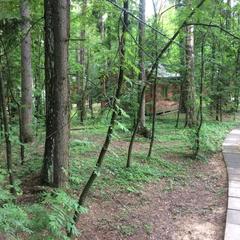 База отдыха Истралайф, Истра, Московская область