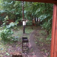 База отдыха Истралайф, Истра, Московская область