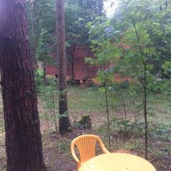 База отдыха Истралайф, Истра, Московская область