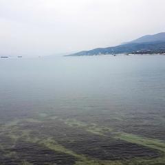 Санаторий Жемчужина, Кабардинка, Краснодарский край