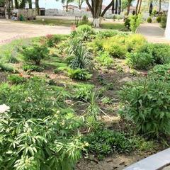 Санаторий Жемчужина, Кабардинка, Краснодарский край