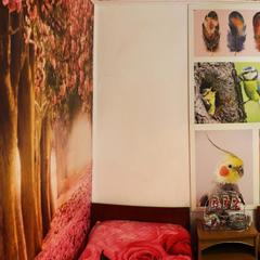 Гостевой дом Астра, Кабардинка, Краснодарский край