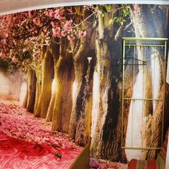 Гостевой дом Астра, Кабардинка, Краснодарский край