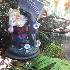 Гостевой дом Астра, Кабардинка, Краснодарский край