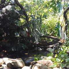 Гостевой дом Астра, Кабардинка, Краснодарский край