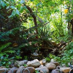 Гостевой дом Астра, Кабардинка, Краснодарский край