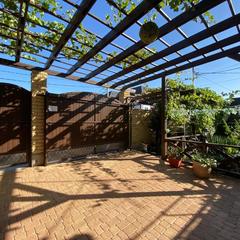 Гостевой дом Магнолия, Кабардинка, Краснодарский край