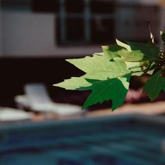 Мини-отель Платан, Кабардинка, Краснодарский край