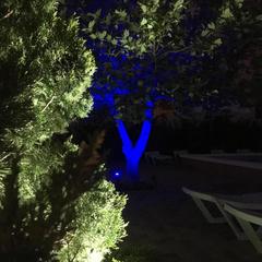 Мини-отель Платан, Кабардинка, Краснодарский край