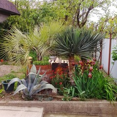 Гостевой дом Оазис (Кабардинка, Краснодарский край), Кабардинка, Краснодарский край