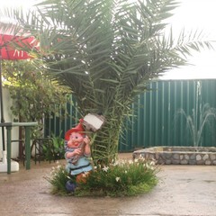 Гостевой дом Оазис (Кабардинка, Краснодарский край), Кабардинка, Краснодарский край