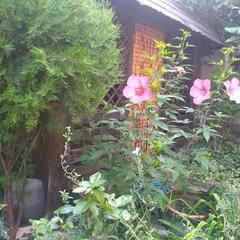 Гостевой дом Олимпийский, Кабардинка, Краснодарский край