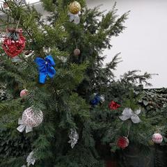 Гостевой дом Олимпийский, Кабардинка, Краснодарский край