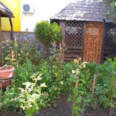 Гостевой дом Олимпийский, Кабардинка, Краснодарский край