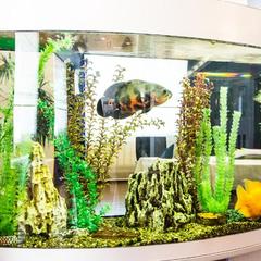 Гостиница Новинка, Казань, Татарстан