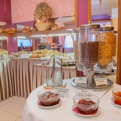 Отель Шаляпин Палас 4*, Казань, Татарстан