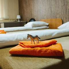 Хостел Зебра, Казань, Татарстан