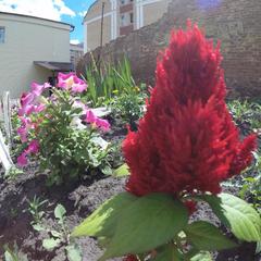 Отель Дуслык, Казань, Татарстан