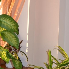 Отель Булак, Казань, Татарстан