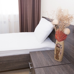 Гостиница Гагарин, Казань, Татарстан