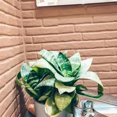 Хостел Backpack, Казань, Татарстан