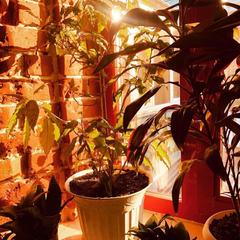 Хостел Backpack, Казань, Татарстан