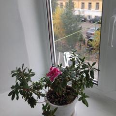 Хостел Fresh Казань, Казань, Татарстан