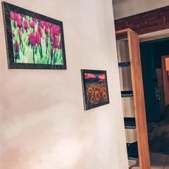 Хостел Backpack, Казань, Татарстан