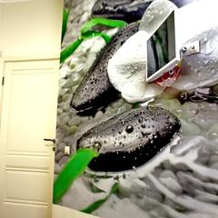 Хостел Friday, Казань, Татарстан