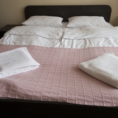 Гостиница Бахет, Казань, Татарстан