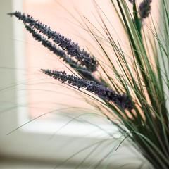 Хостел Дом 64, Казань, Татарстан