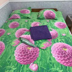 Хостел Зеленый Дом, Казань, Татарстан