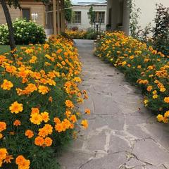 Гостевой дом На Кызыл-Армейской, Казань, Татарстан