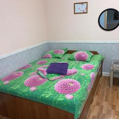 Хостел Зеленый Дом, Казань, Татарстан